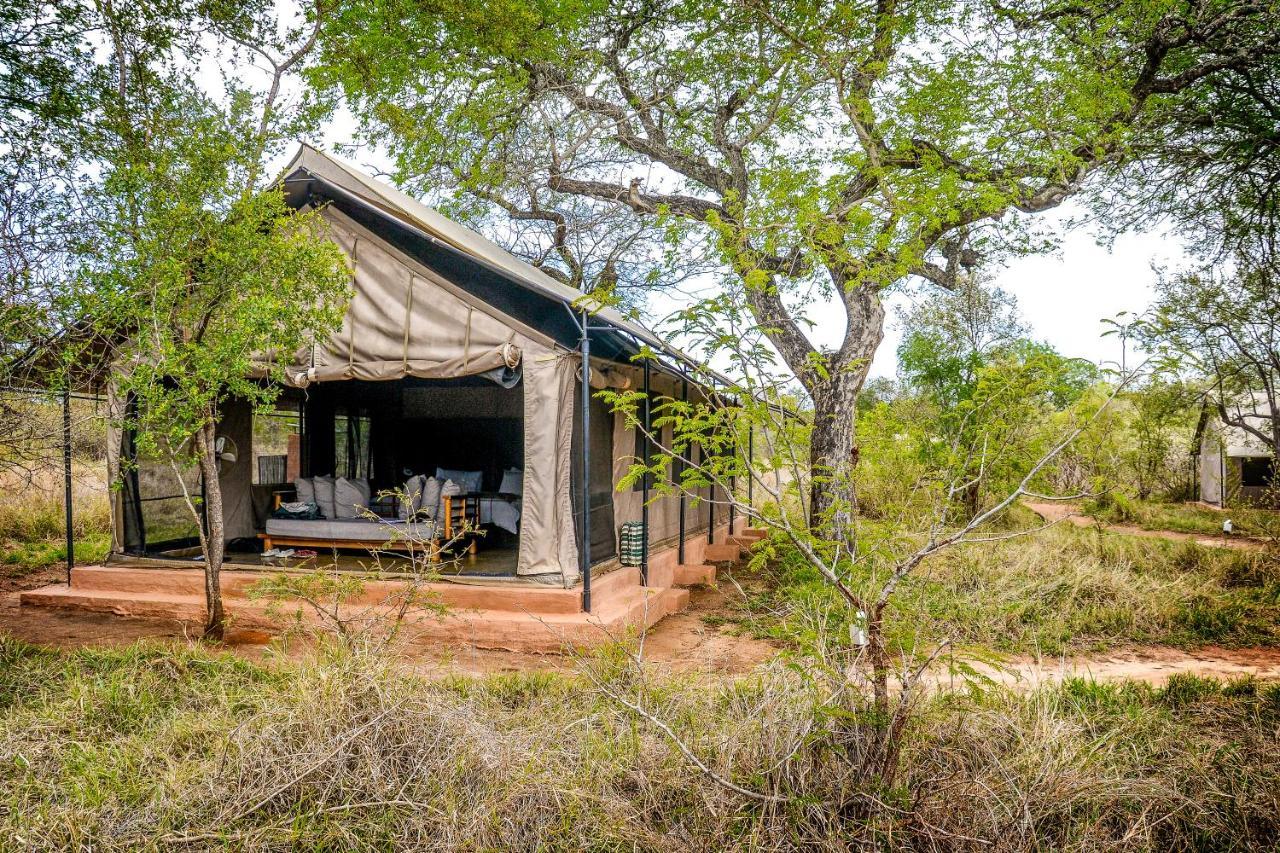 曼耶雷蒂野生动物园 Honeyguide Tented Safari Camp - Khoka Moya酒店 外观 照片