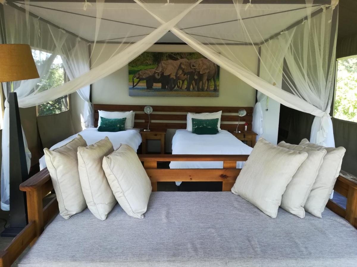 曼耶雷蒂野生动物园 Honeyguide Tented Safari Camp - Khoka Moya酒店 外观 照片