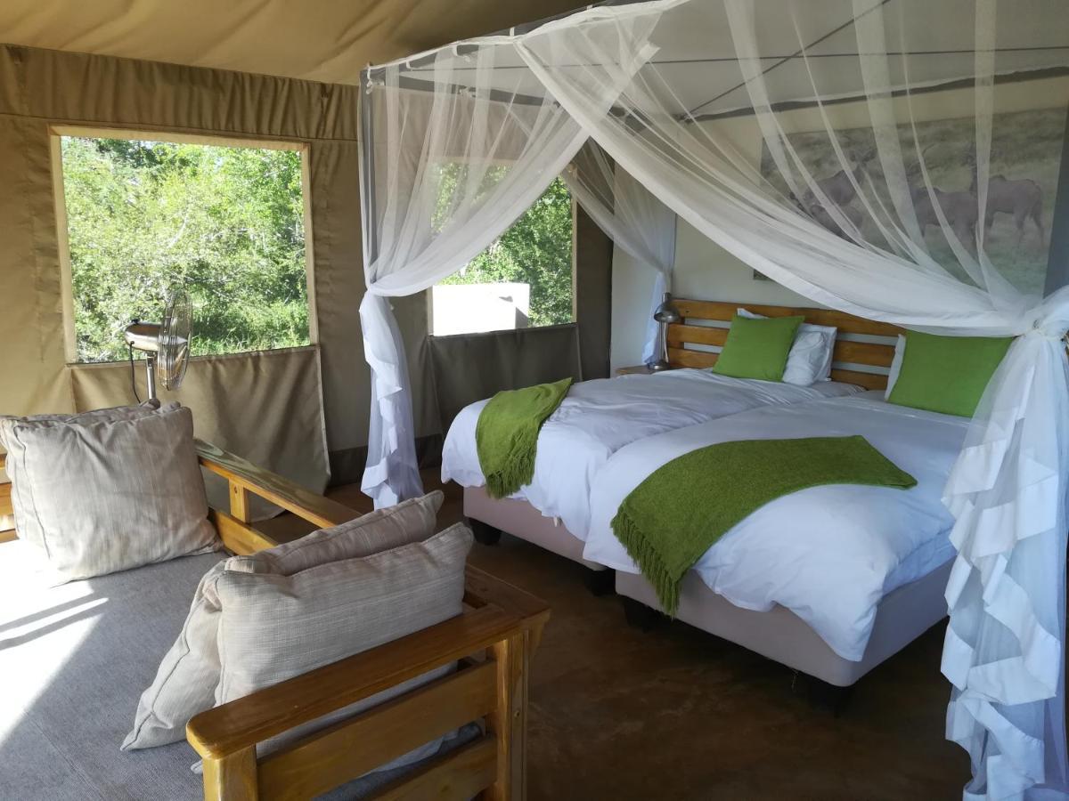 曼耶雷蒂野生动物园 Honeyguide Tented Safari Camp - Khoka Moya酒店 外观 照片