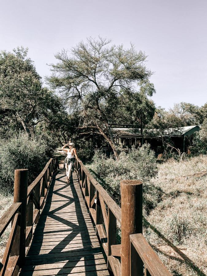 曼耶雷蒂野生动物园 Honeyguide Tented Safari Camp - Khoka Moya酒店 外观 照片