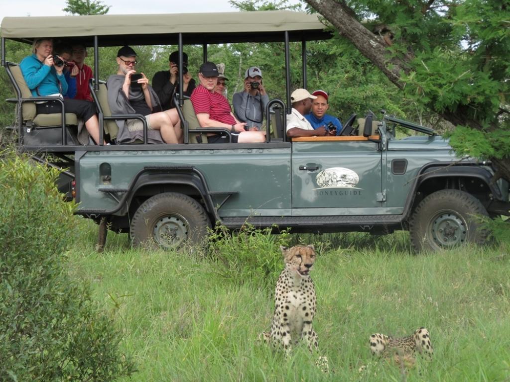 曼耶雷蒂野生动物园 Honeyguide Tented Safari Camp - Khoka Moya酒店 外观 照片