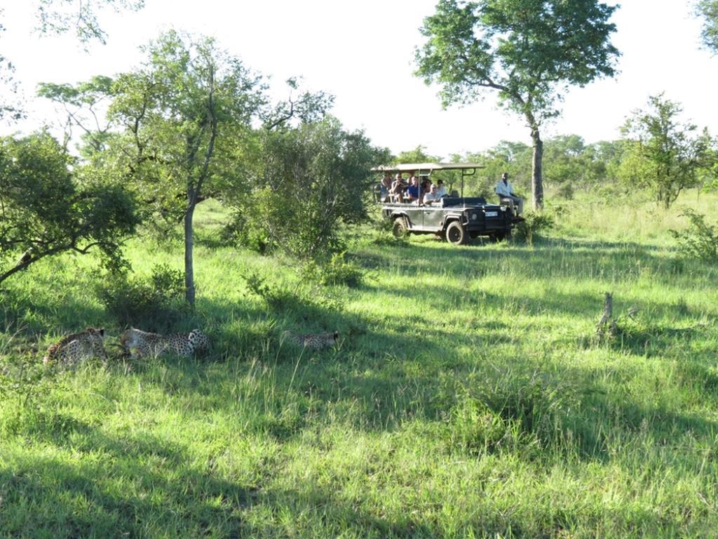 曼耶雷蒂野生动物园 Honeyguide Tented Safari Camp - Khoka Moya酒店 外观 照片