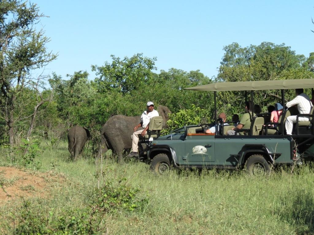 曼耶雷蒂野生动物园 Honeyguide Tented Safari Camp - Khoka Moya酒店 外观 照片