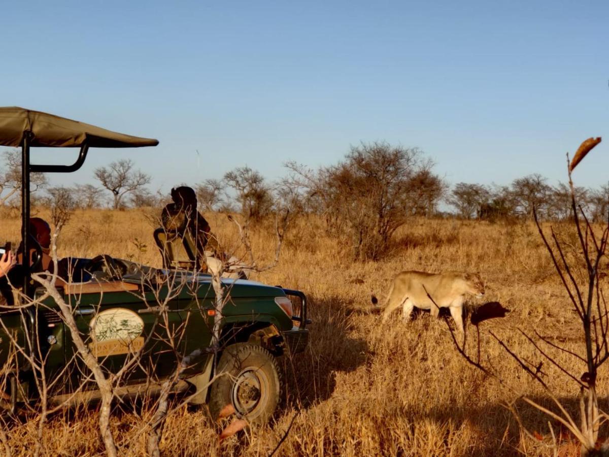 曼耶雷蒂野生动物园 Honeyguide Tented Safari Camp - Khoka Moya酒店 外观 照片